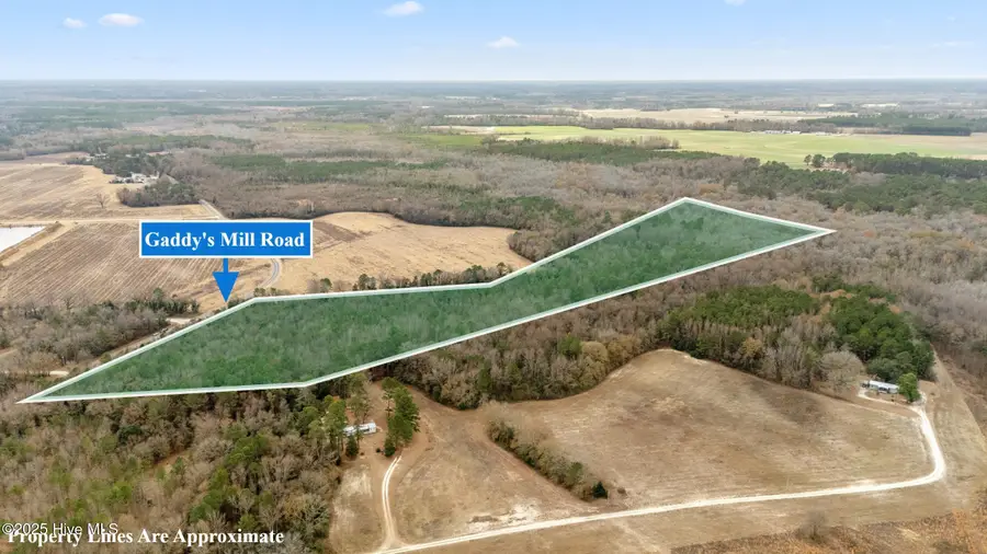 0 Gaddy's Mill Rd, Maxton, NC 28364 - Image #2