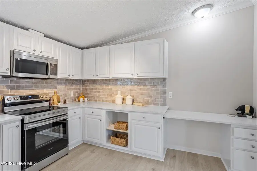 6922 Great Swamp Loop, Lucama, NC 27851 - Image #2