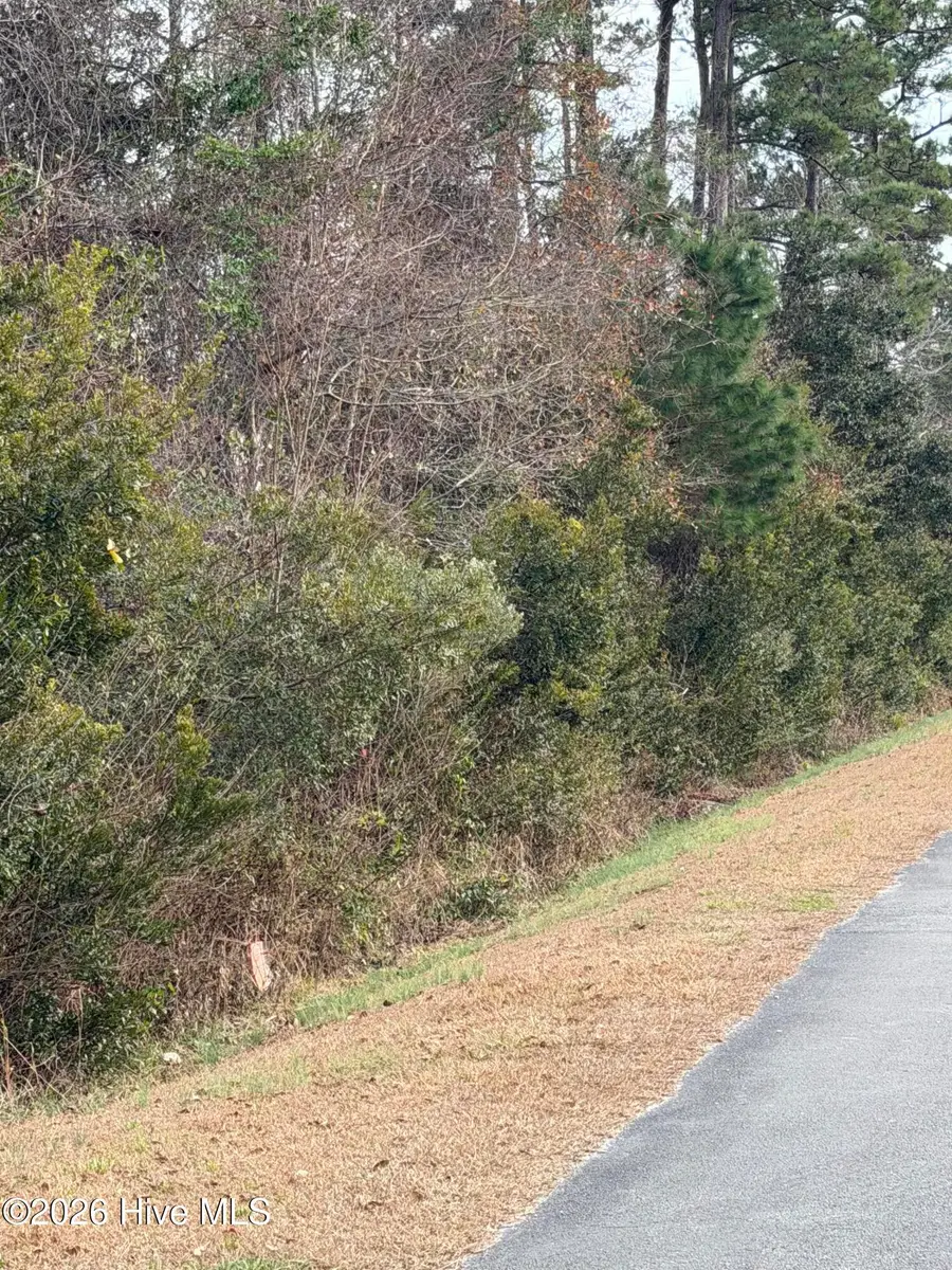 0 Joans Haven Drive, Newport, NC 28570 - Image #2