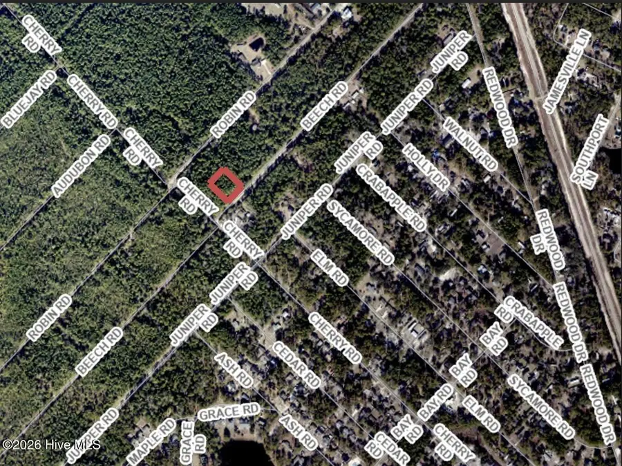 .73 Acres Beech Road, Boiling Spring Lakes, NC 28461 - Image #2