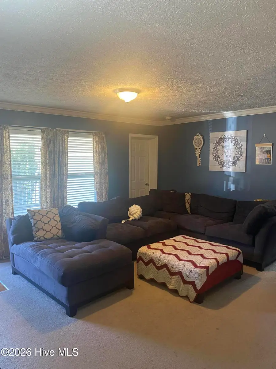 174 Teachey Mac Road, Magnolia, NC 28453 - Image #3