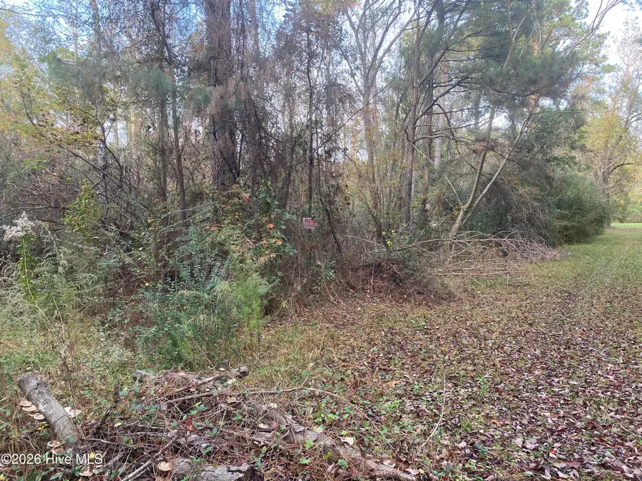 255 Wards Lane, Havelock, NC 28532 - #2