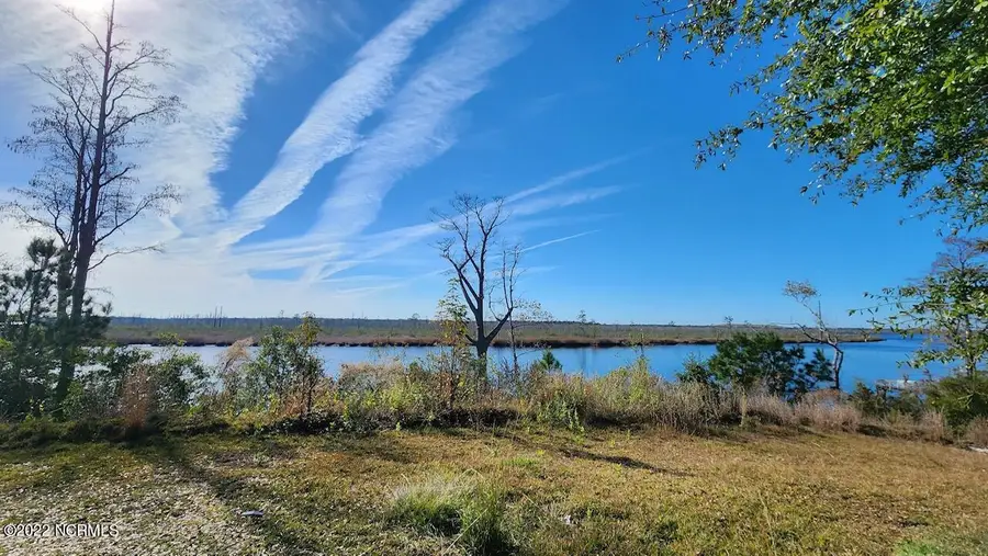 3753 White Cliffs Drive, Castle Hayne, NC 28429 - #2