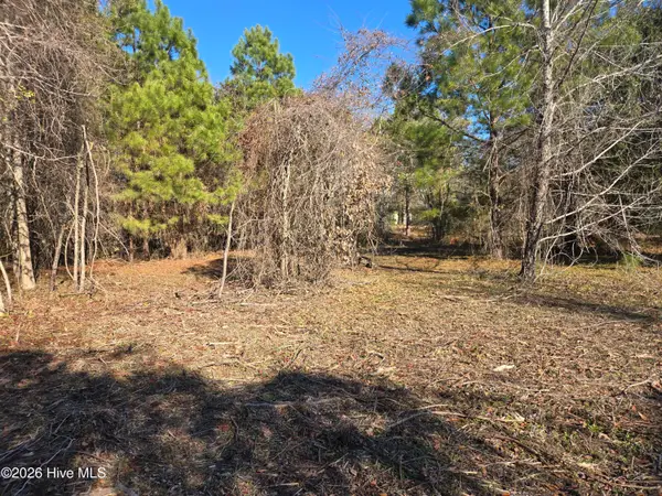 203 Moores Landing Court, Hampstead, NC 28443