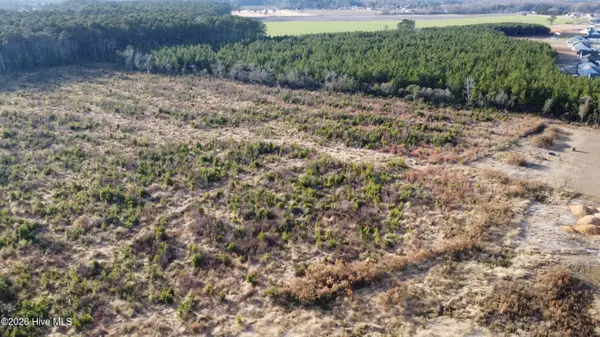 Lot 33 Talton Estates Drive, Pikeville, NC 27863