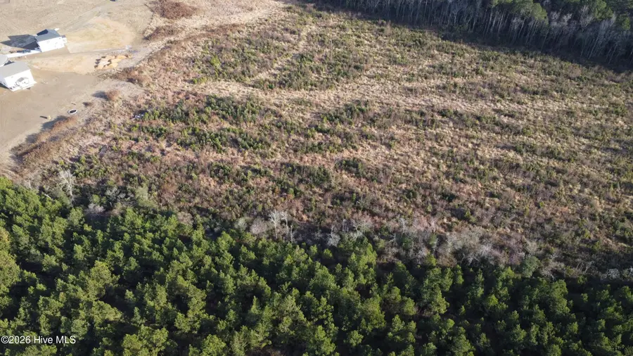 Lot 33 Talton Estates Drive, Pikeville, NC 27863 - Image #3