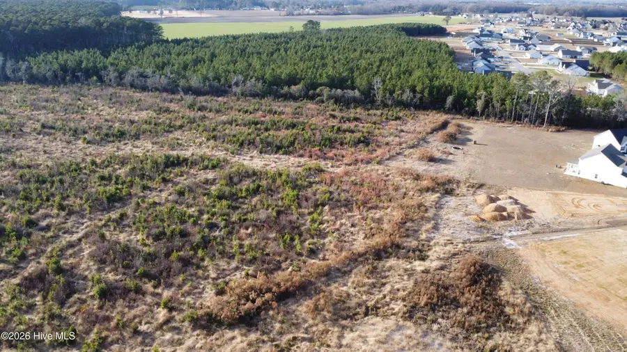 Lot 31 Talton Estates Drive, Pikeville, NC 27863 - Image #2