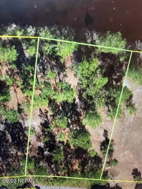 219 Oak Island Drive, Harrells, NC 28444 - Image #1