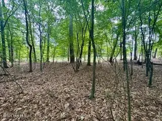 50 & 51 Chestnut Street, Hertford, NC 27944 - Image #2