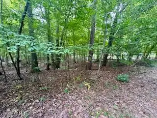 53 Teak Street, Hertford, NC 27944 - Image #2