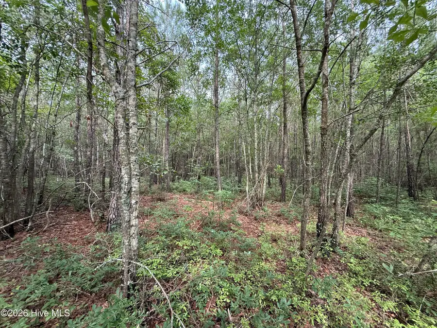 2162 Old Pamlico Beach Road W, Belhaven, NC 27810 - Image #2