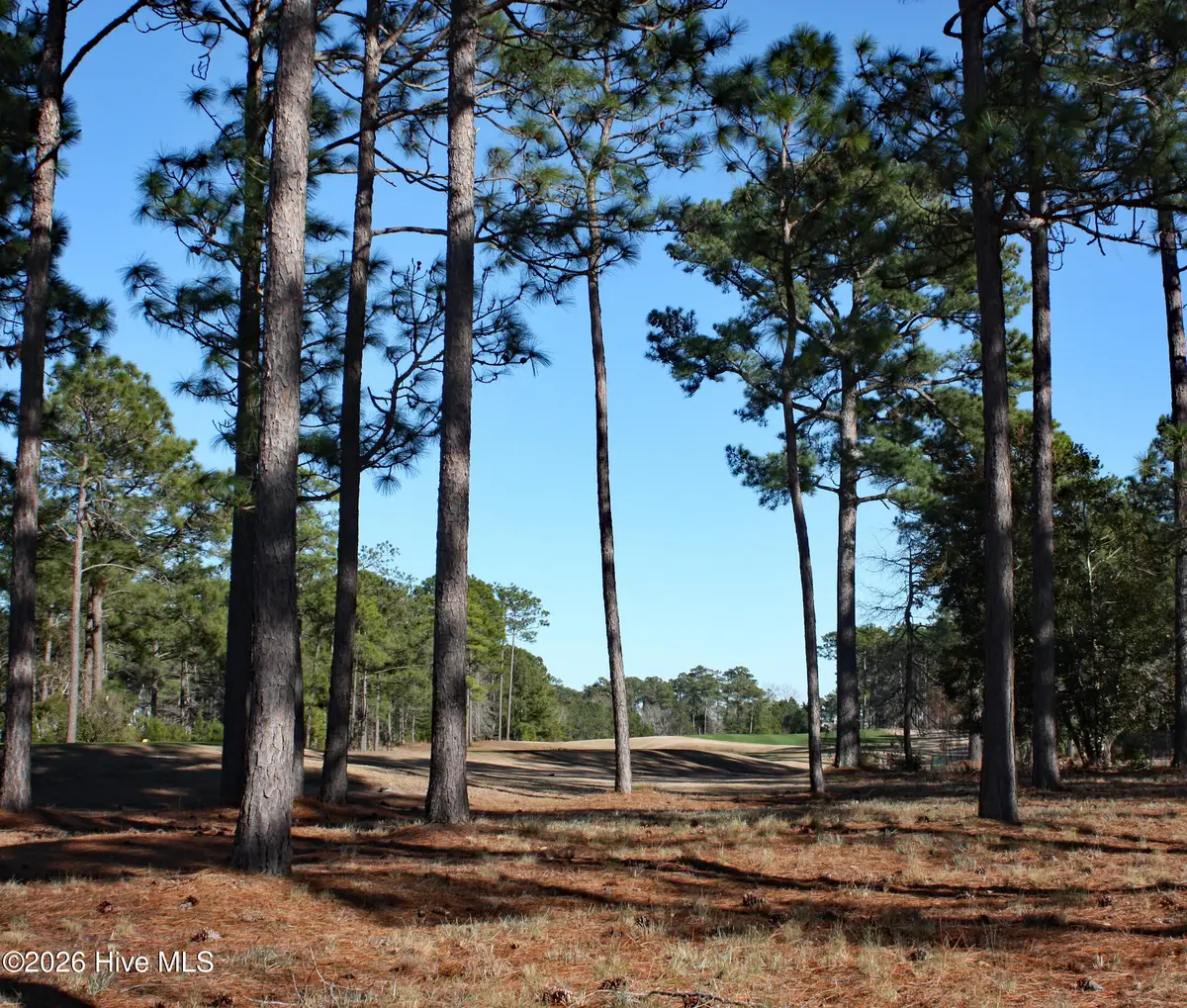 462 Laurel Valley Drive, Shallotte, NC 28470 - #1