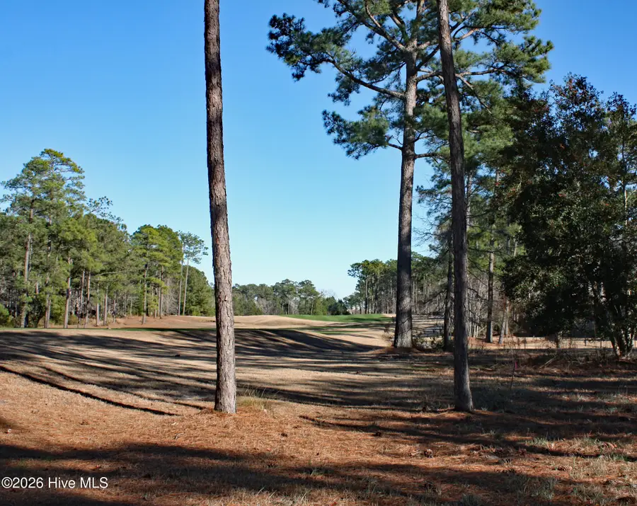 462 Laurel Valley Drive, Shallotte, NC 28470 - #2