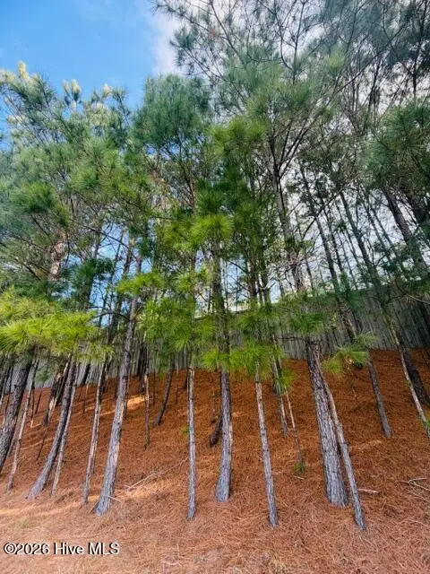 2181 Palm Pointe Ne, Leland, NC 28451 - #3