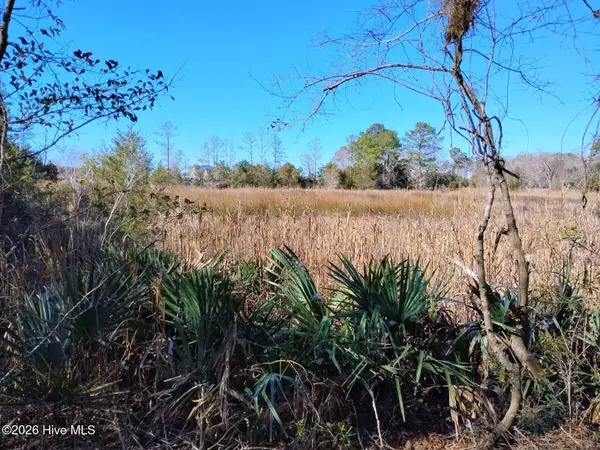 40 Alligator Creek Road, Merritt, NC 28556