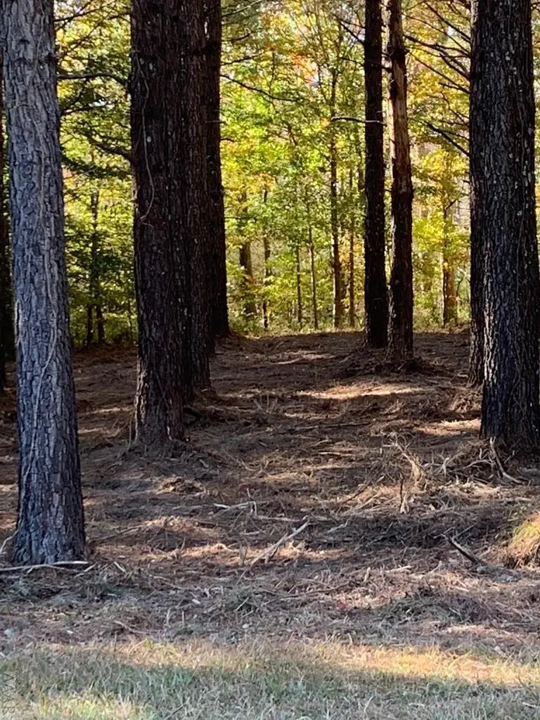 242 Plumtree Circle, Edenton, NC 27932 - Image #2