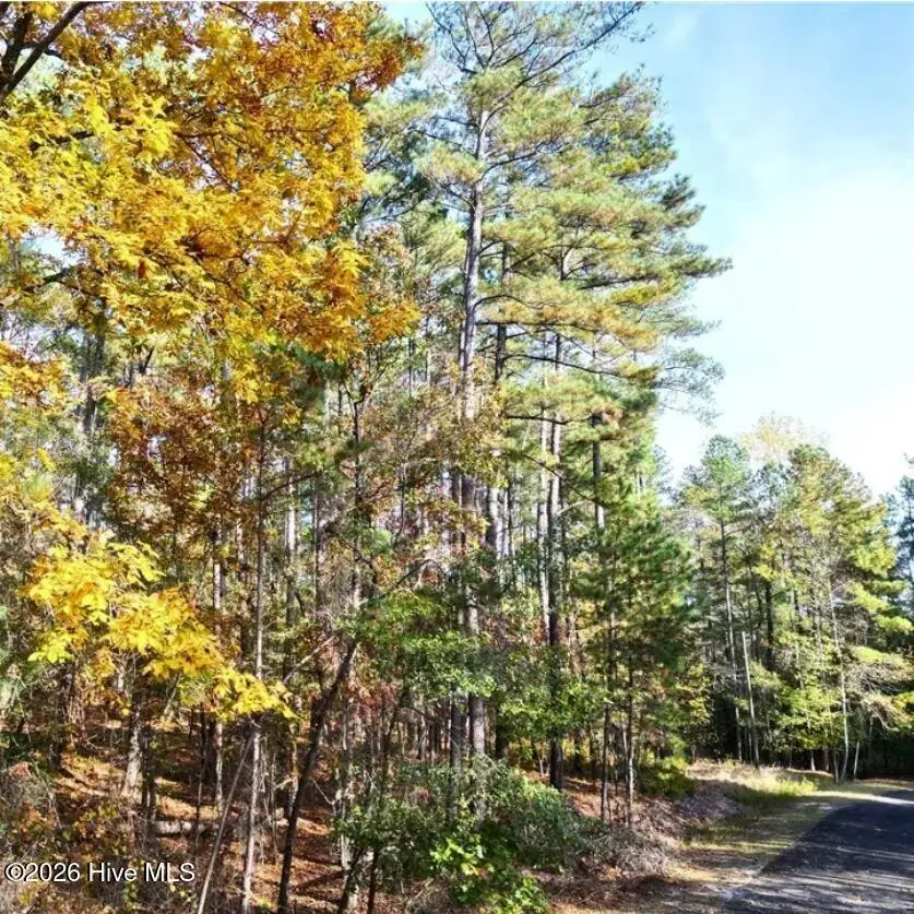 151 Cobblestone Place, West End, NC 27376 - Image #3