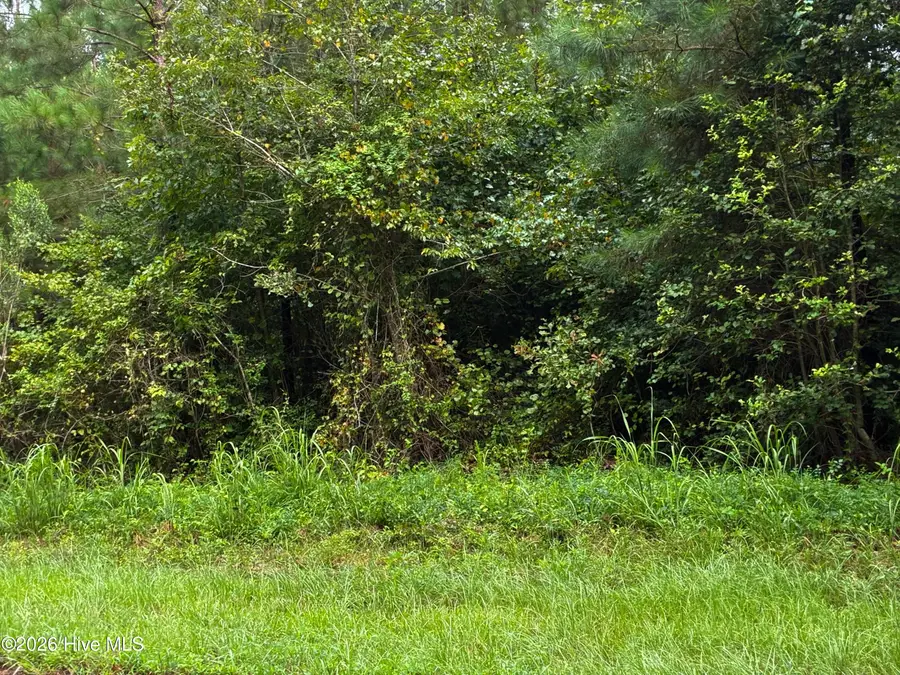 00 Briggs Road, Cameron, NC 28326 - #2