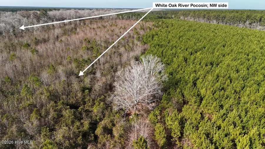 0 White Oak River Road, Maysville, NC 28555 - Image #2