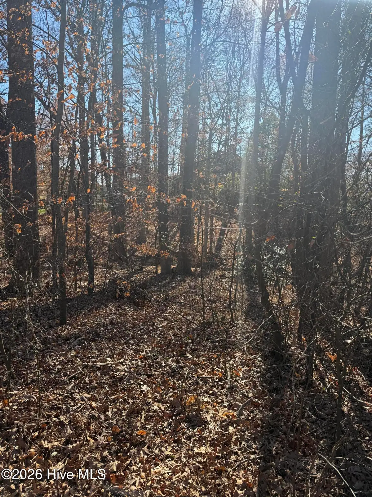 3189 Abbey Road, Rocky Mount, NC 27804 - #1