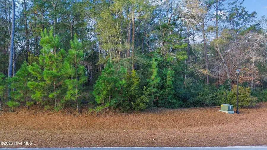 3374 Portside Drive Sw, Supply, NC 28462 - #2