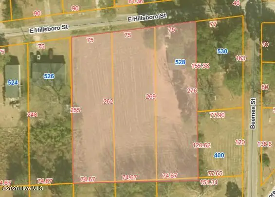 528 E Hillsboro Street, Mount Olive, NC 28365 - Image #2