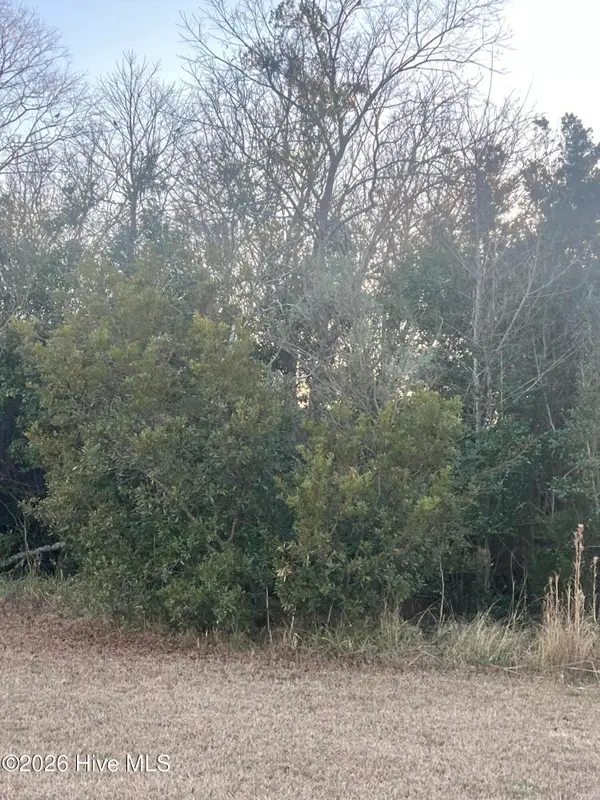 200 Grandview Drive, Sneads Ferry, NC 28460