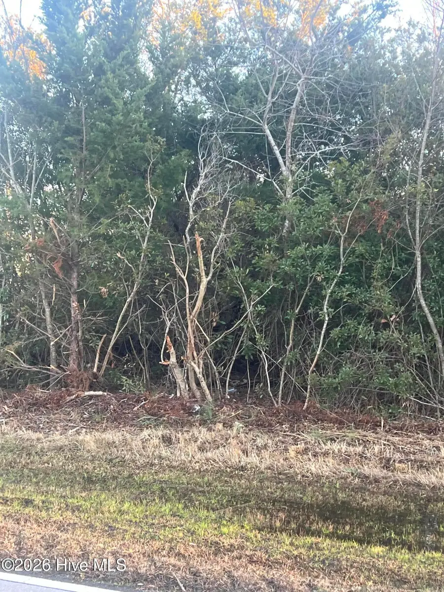 200 Grandview Drive, Sneads Ferry, NC 28460 - Image #2