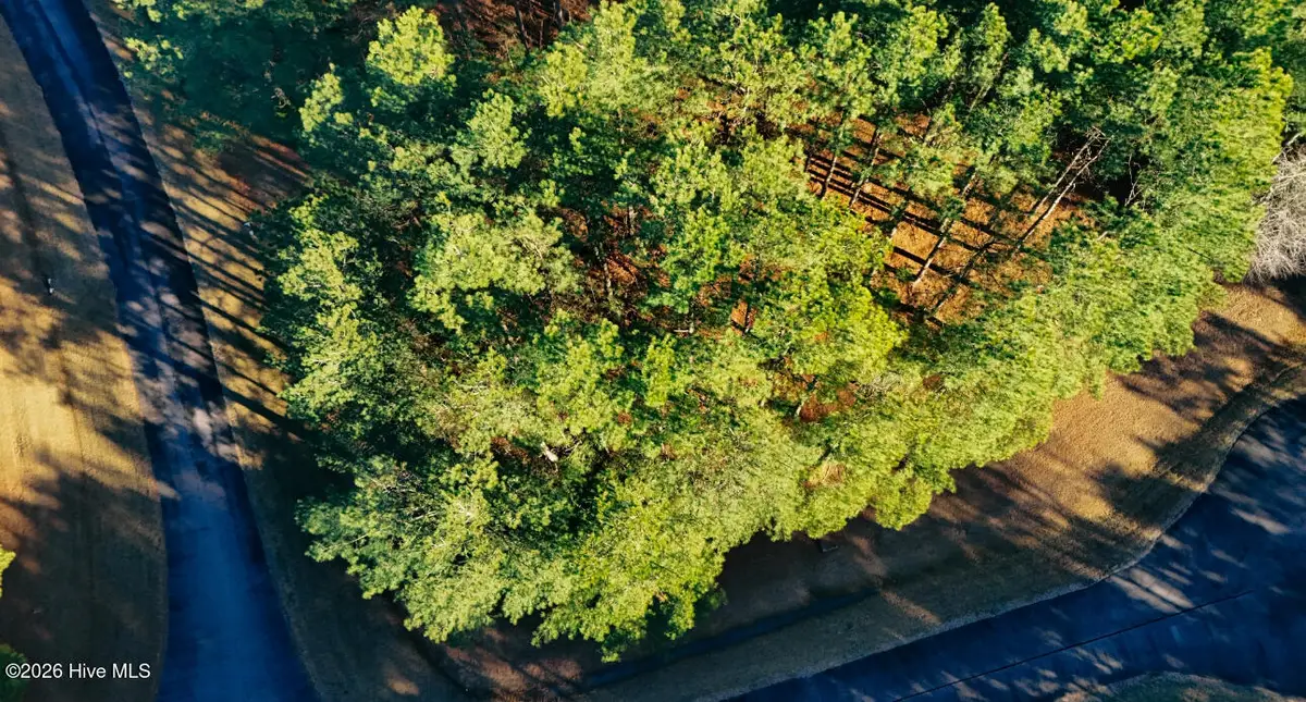 301 Plumtree Circle, Edenton, NC 27932 - Image #1