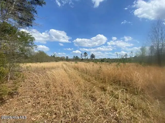 28385 Aberdeen Road, Wagram, NC 28396 - Image #3