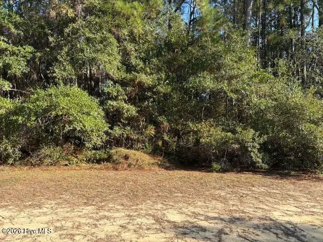 2280 Hoffman Road Sw, Supply, NC 28462 - #3