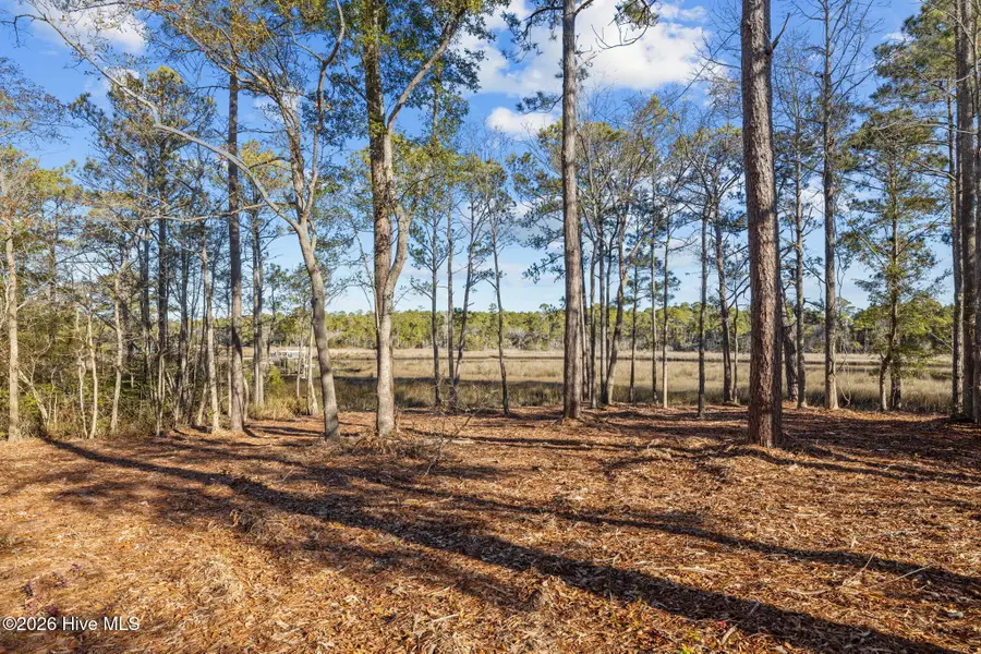 180 Henderson Drive, Newport, NC 28570 - #2