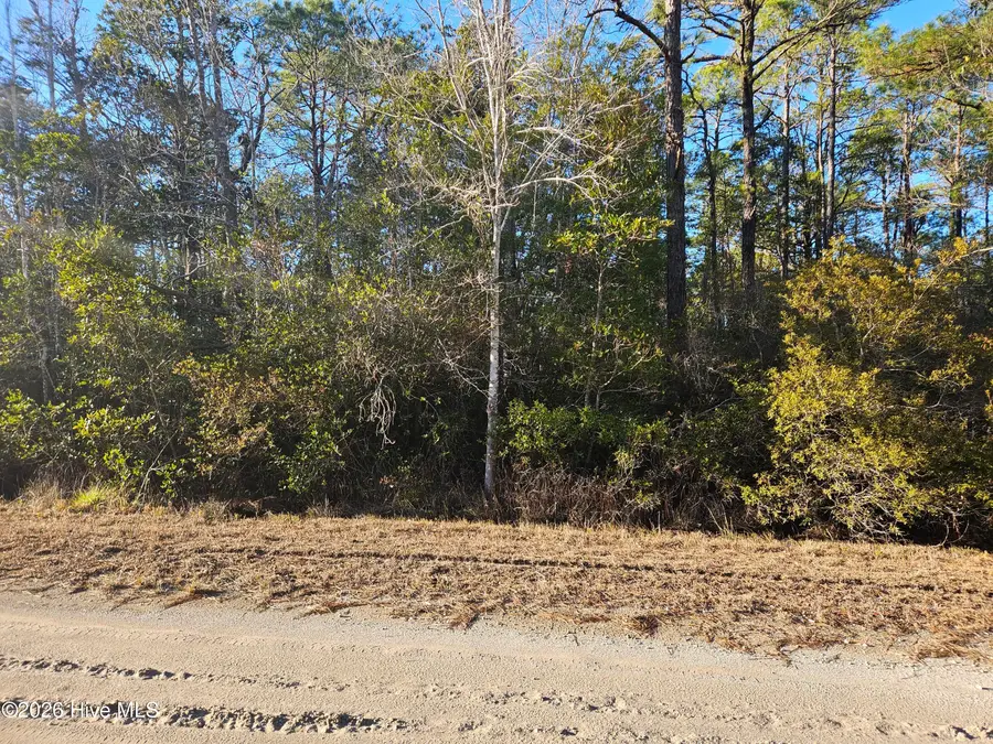 Lot 68 New Hanover Road, Boiling Spring Lakes, NC 28461 - #2