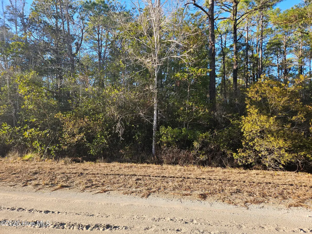 Lot 69 New Hanover Road, Boiling Spring Lakes, NC 28461 - #1