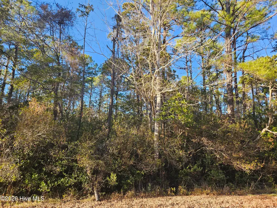 Lot 69 New Hanover Road, Boiling Spring Lakes, NC 28461 - #3
