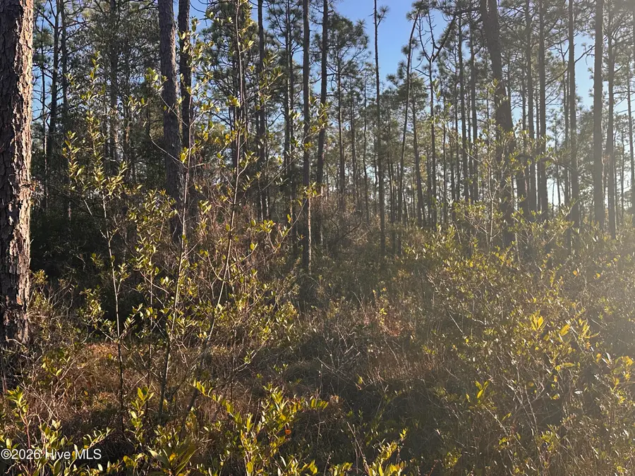 568 Grape Road, Southport, NC 28461 - #2