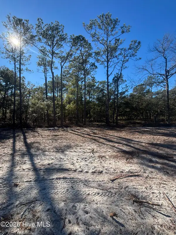 Lot 111 Egret Walk Court, Southport, NC 28461