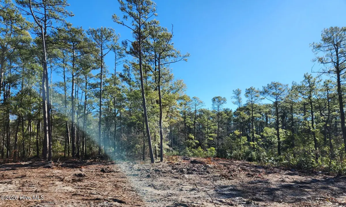 Lot 134 Coral Gull Street, Southport, NC 28461 - Image #1