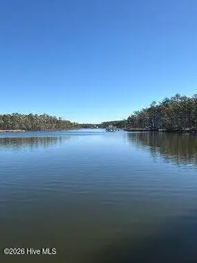 8 Pitch Kettle Court, Belhaven, NC 27810 - Image #2