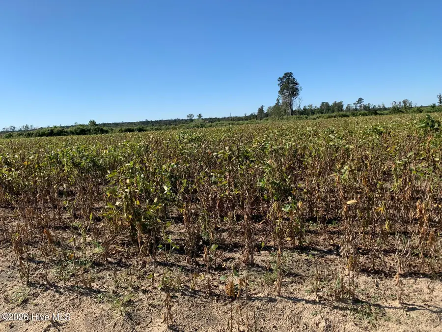 Tbd Hendrix Lane, Windsor, NC 27983 - #3