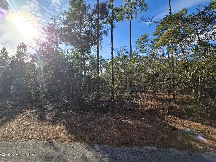 Lot B Harper Lake Dr Drive, Southport, NC 28461 - Image #2