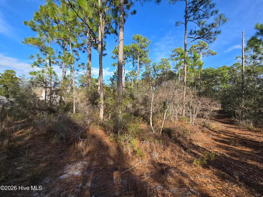 Lot B Harper Lake Dr Drive, Southport, NC 28461 - Image #3