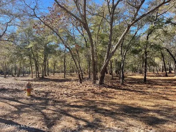 3627 Concordia Avenue Sw, Supply, NC 28462