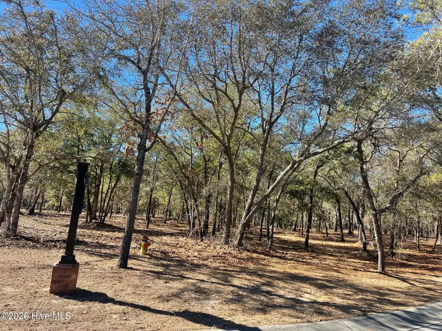 3627 Concordia Avenue Sw, Supply, NC 28462 - #2