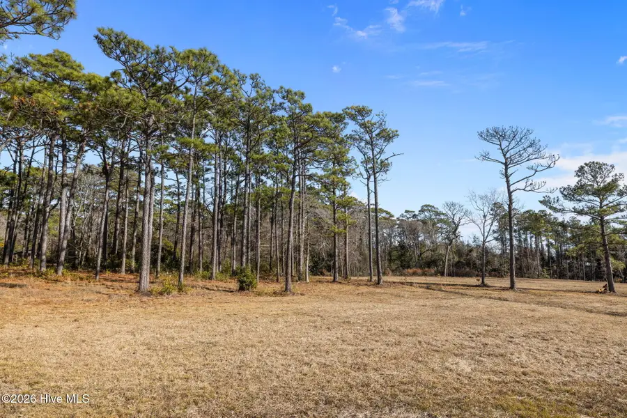 183 Deep Bay Drive, Newport, NC 28570 - #2