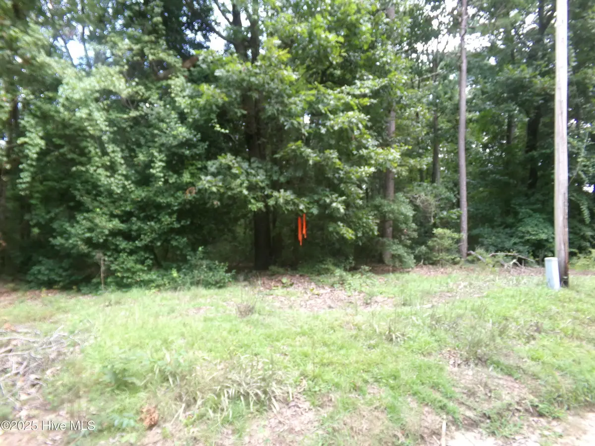 Lot 37 Plantation Road, Elizabethtown, NC 28337 - #1