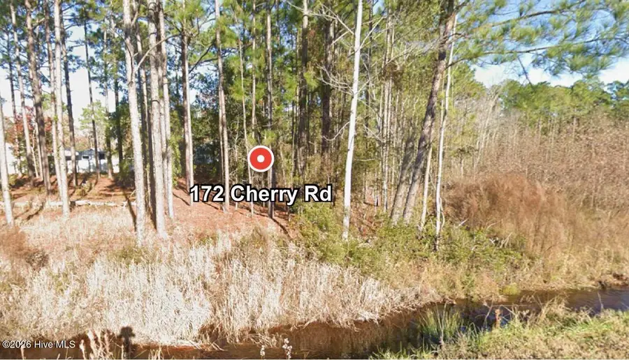 172 Cherry Road, Boiling Spring Lakes, NC 28461 - Image #2