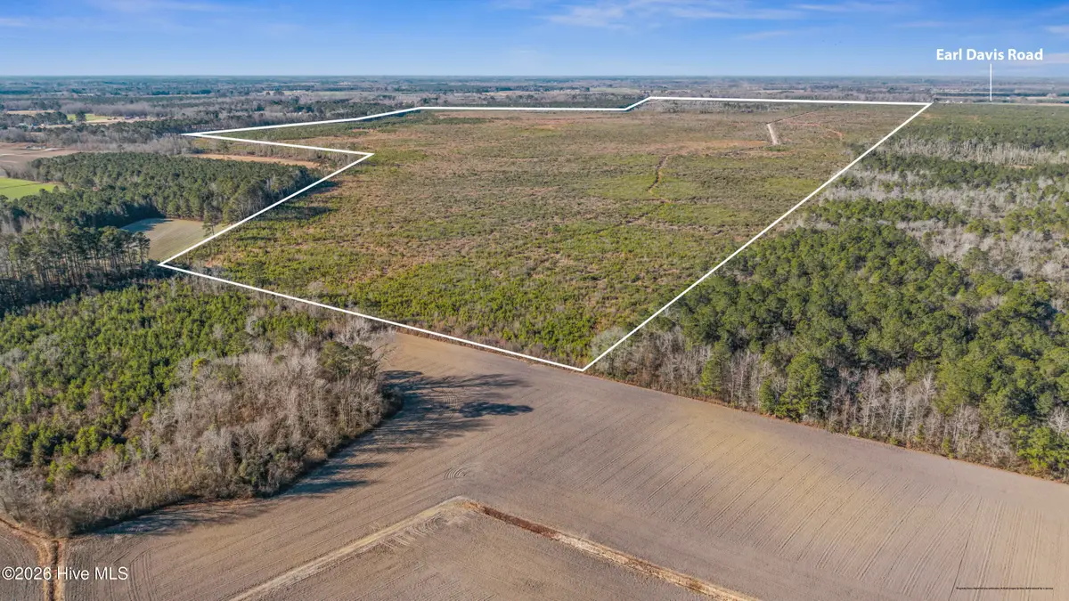 700 Acres Earl Davis Road, Rose Hill, NC 28458 - Image #1