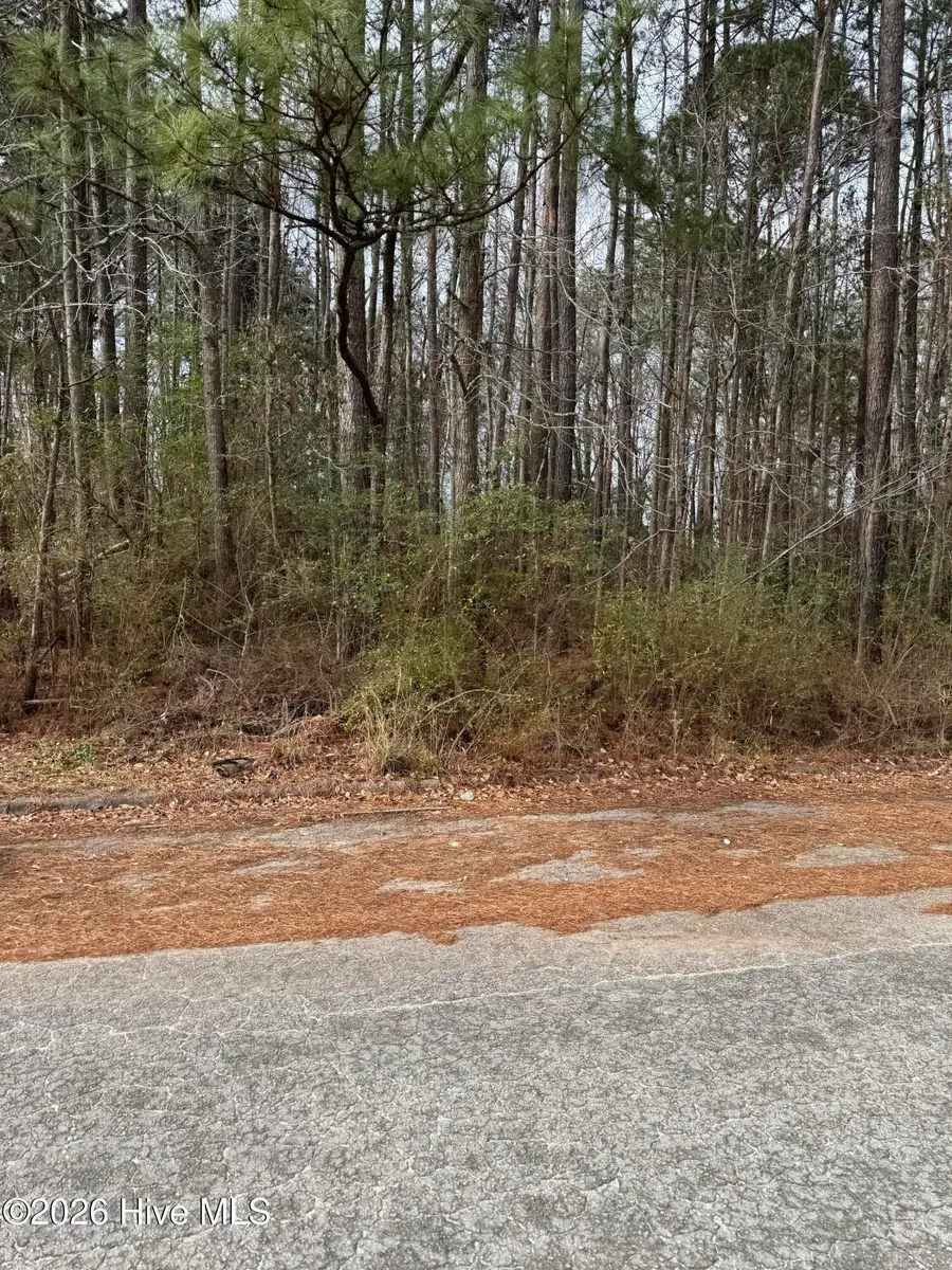 643 Walnut Drive, Jacksonville, NC 28540 - #2