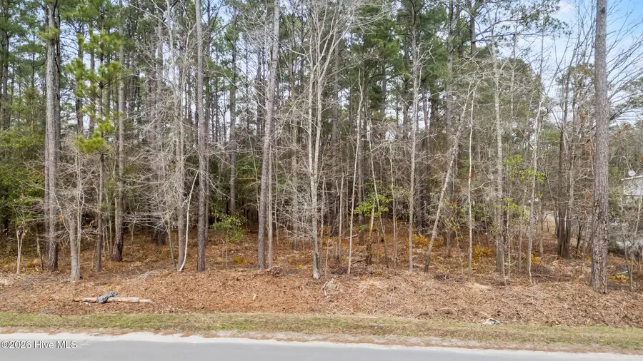 Lot 4 Copperhead Lane, Burgaw, NC 28425 - Image #2